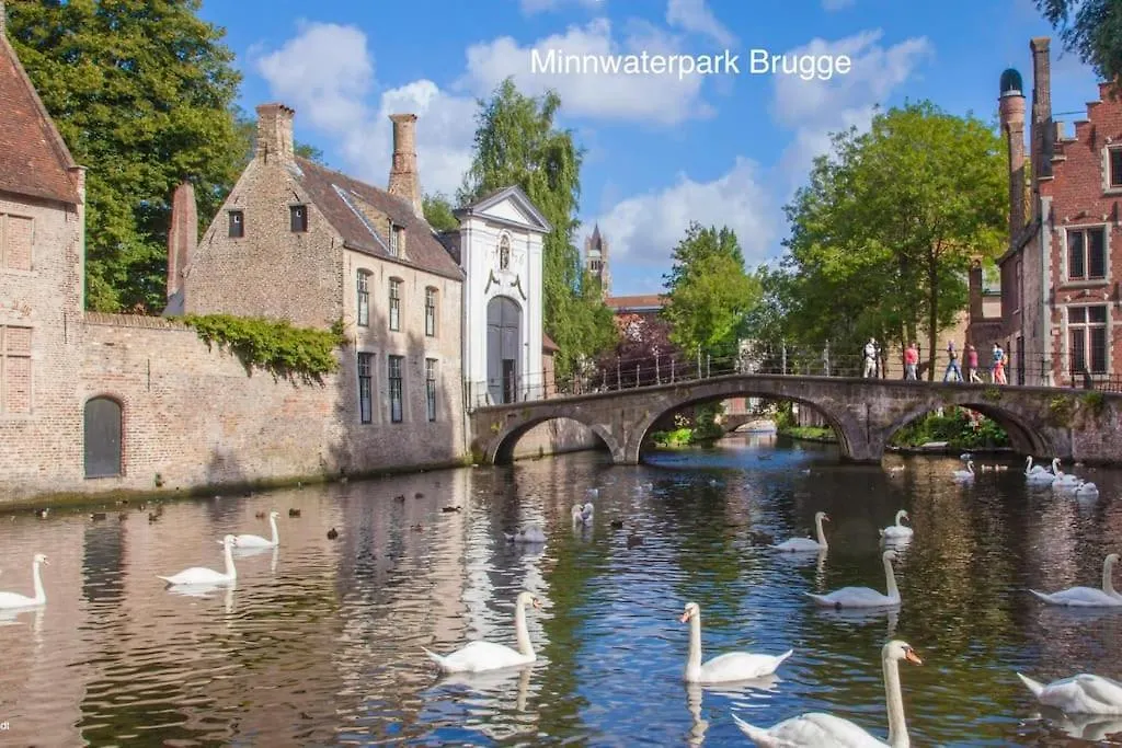 Cozb Apartment Bruges Belgium
